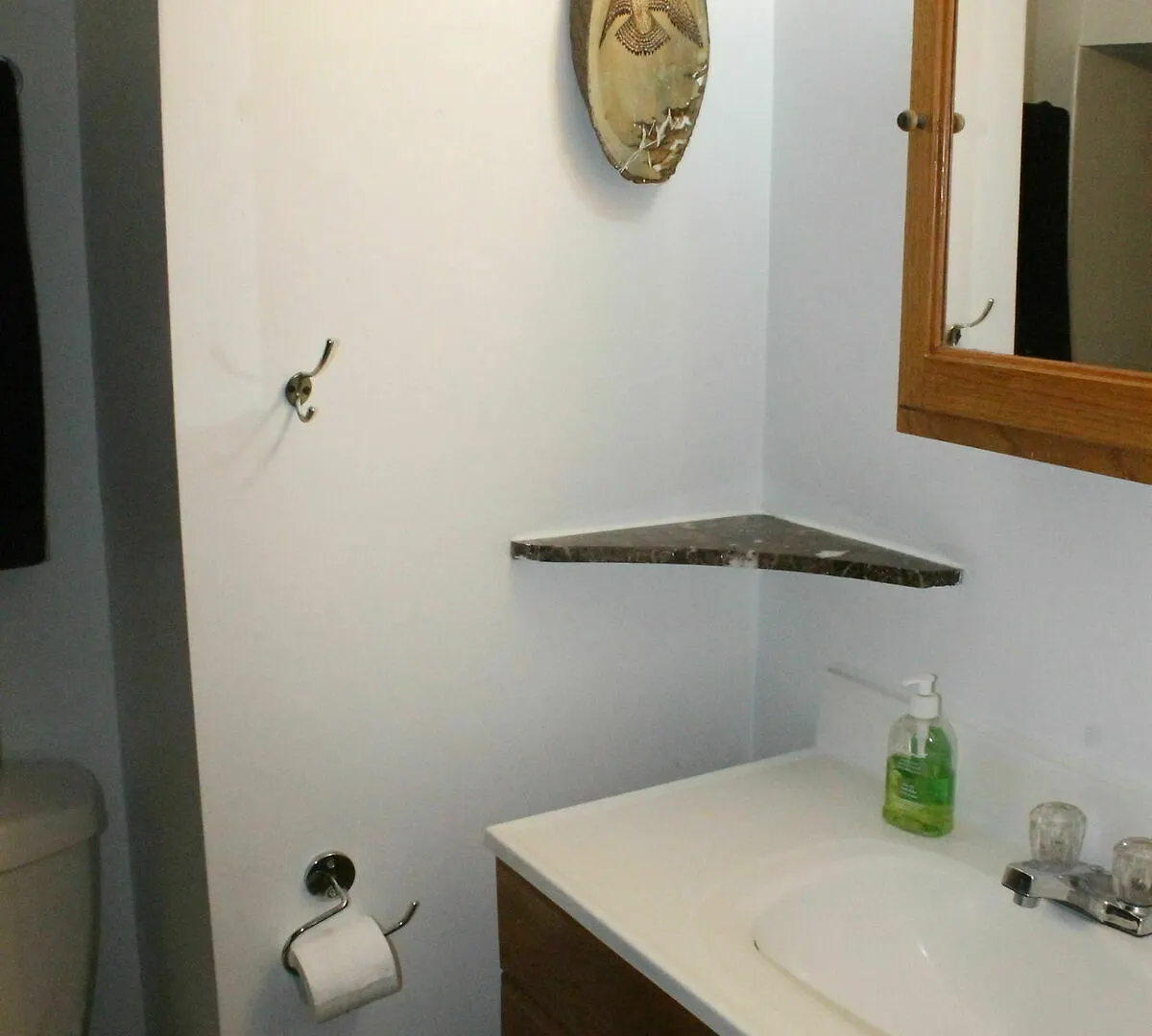 Adib Apartments - 2077 Walkley Rd Οττάβα